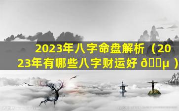 2023年八字命盘解析（2023年有哪些八字财运好 🌵 ）